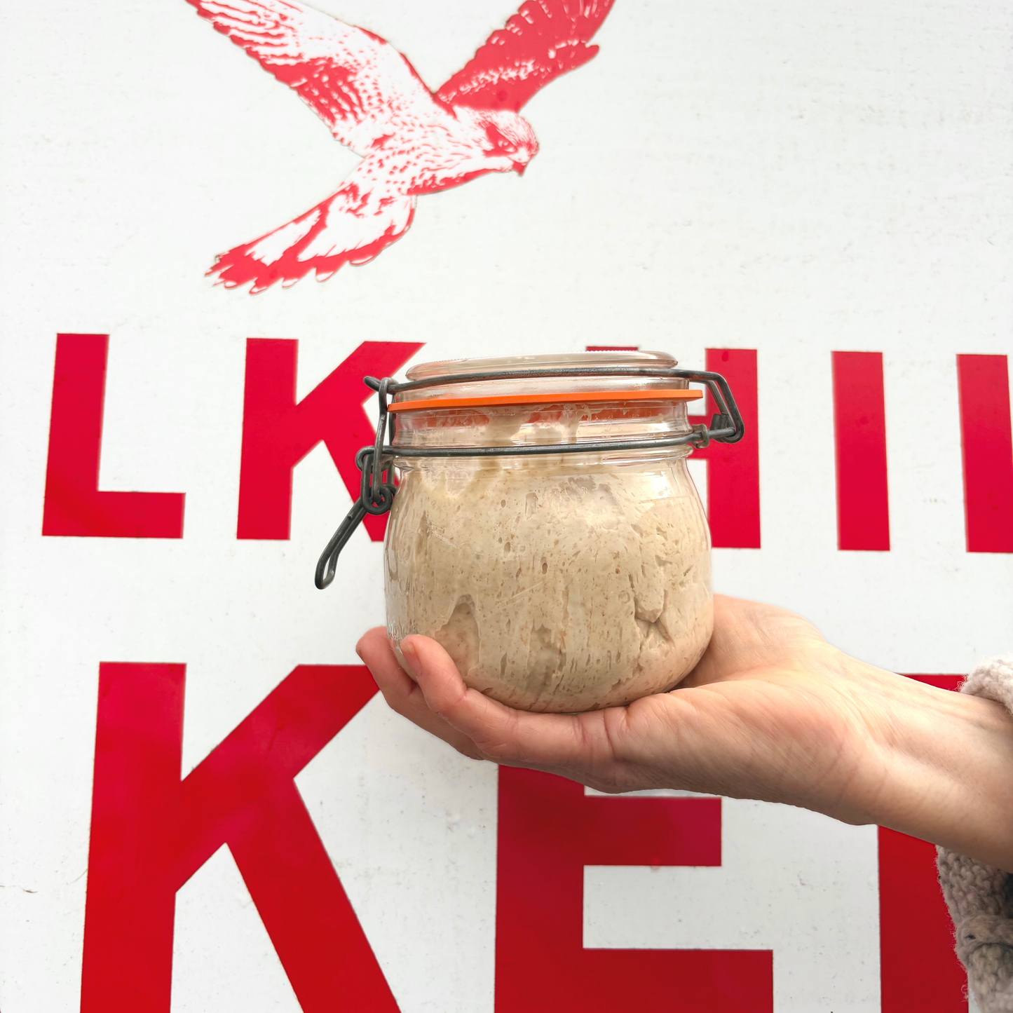 Sourdough Starter - Exclusive for Real Bread Week!