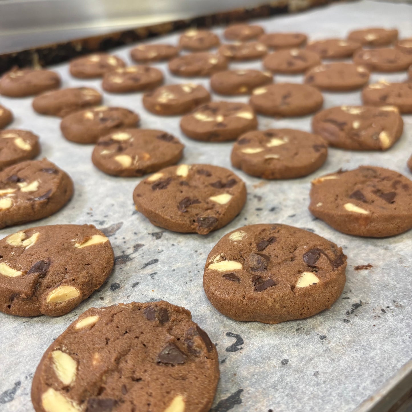 Chocolate Chip Biscuits