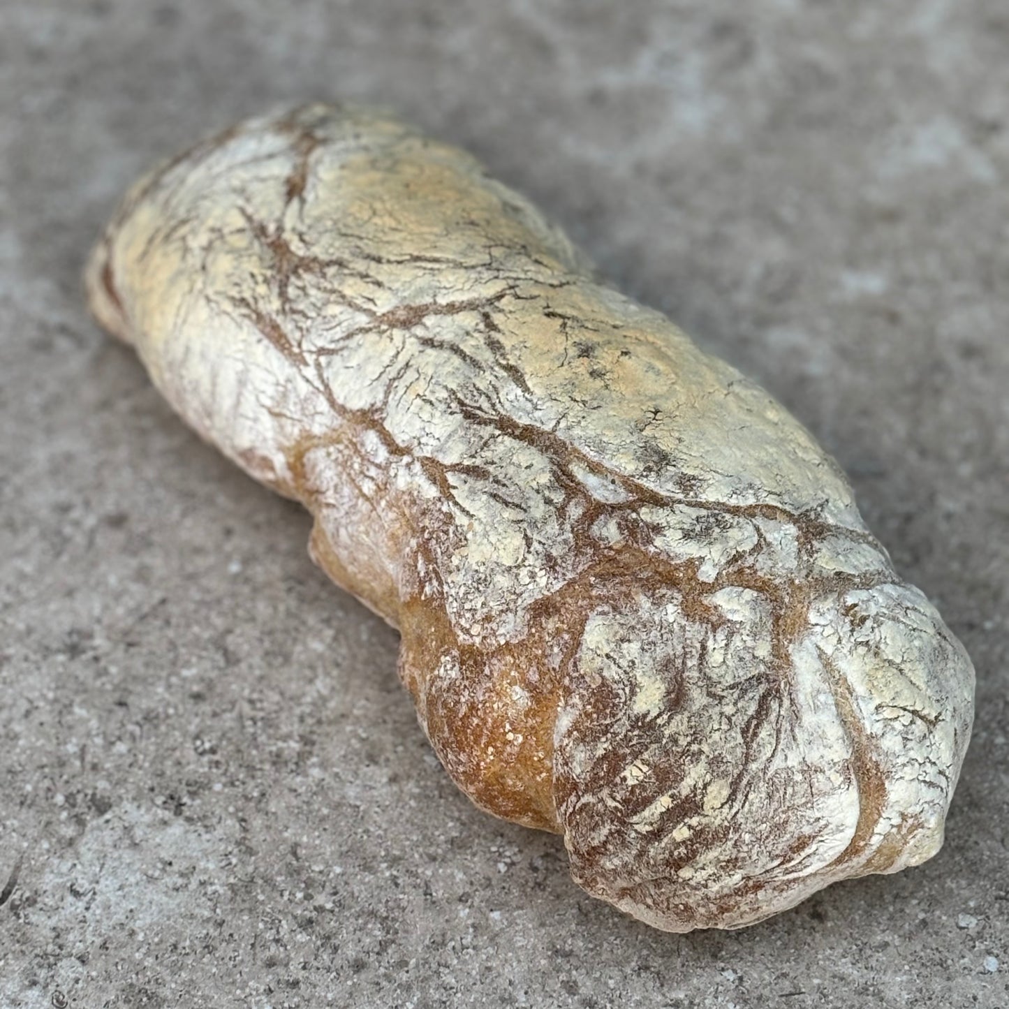 Ciabatta