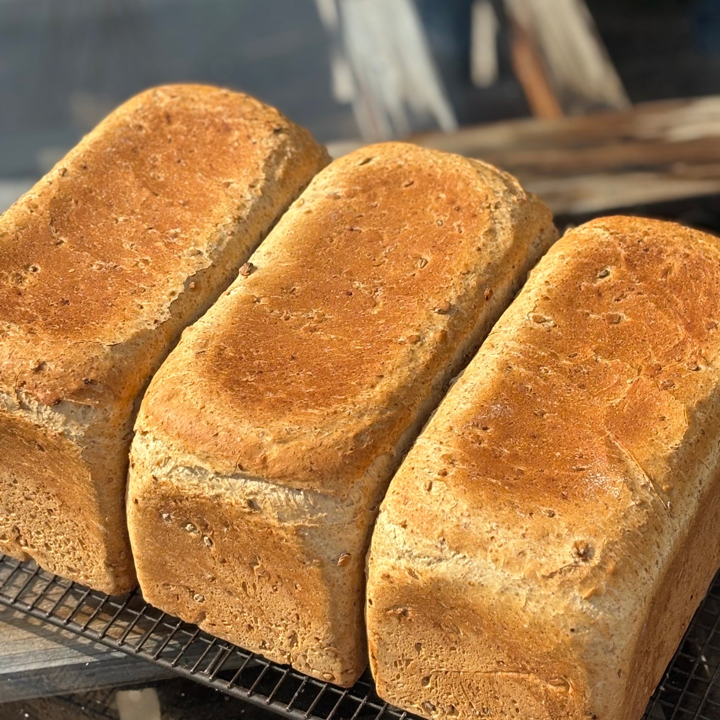 Malted Grain Sandwich Loaf
