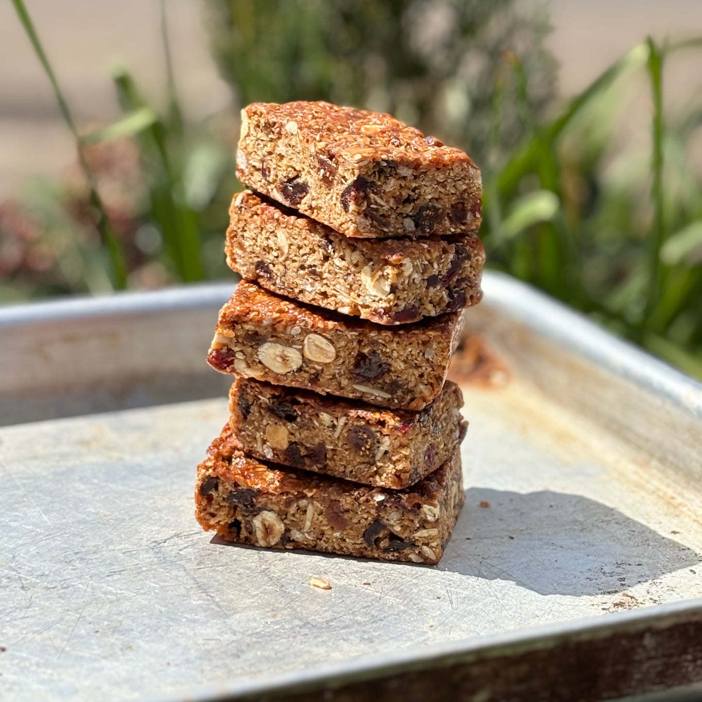 Vegan Protein Bar