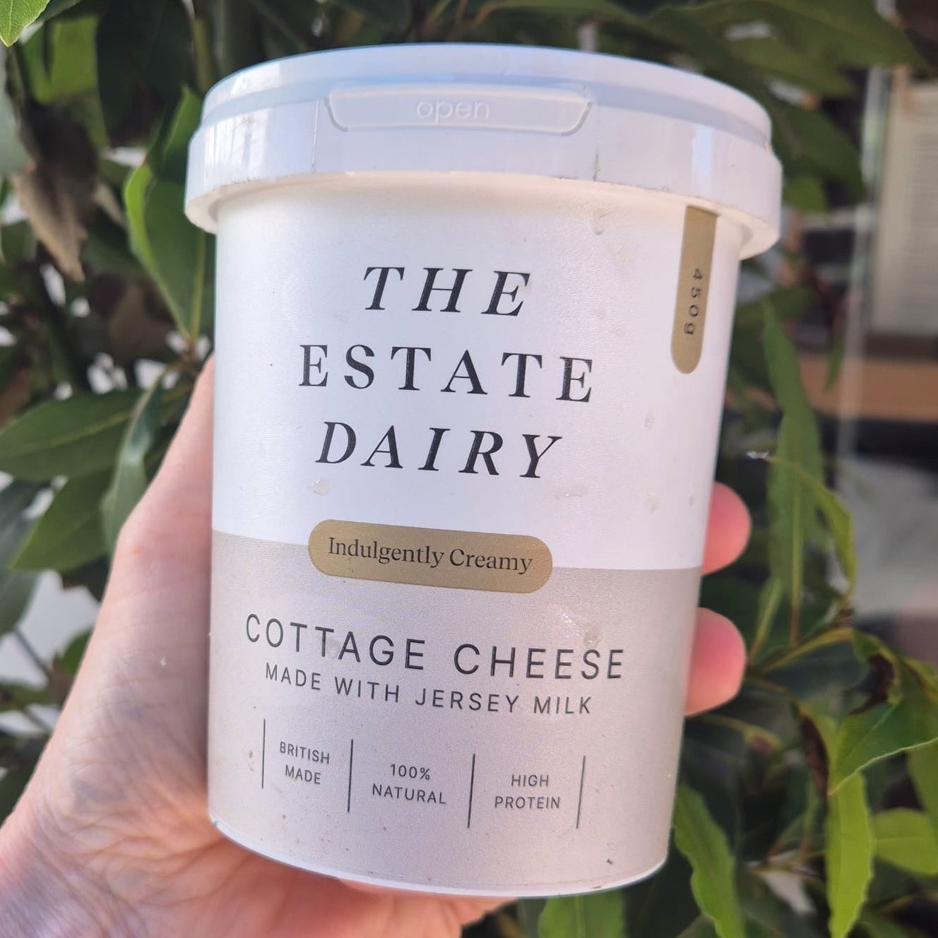 A hand holding a tub of The Estate Dairy Cottage Cheese in front of green foliage. The tub is white with black text and a small gold accent label.