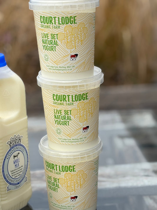 Court Lodge Set Yogurt