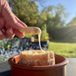 Person dipping breadstick into a wheel of torta style cheese, creating a cheese pull. Outdoors with trees and grass in the background