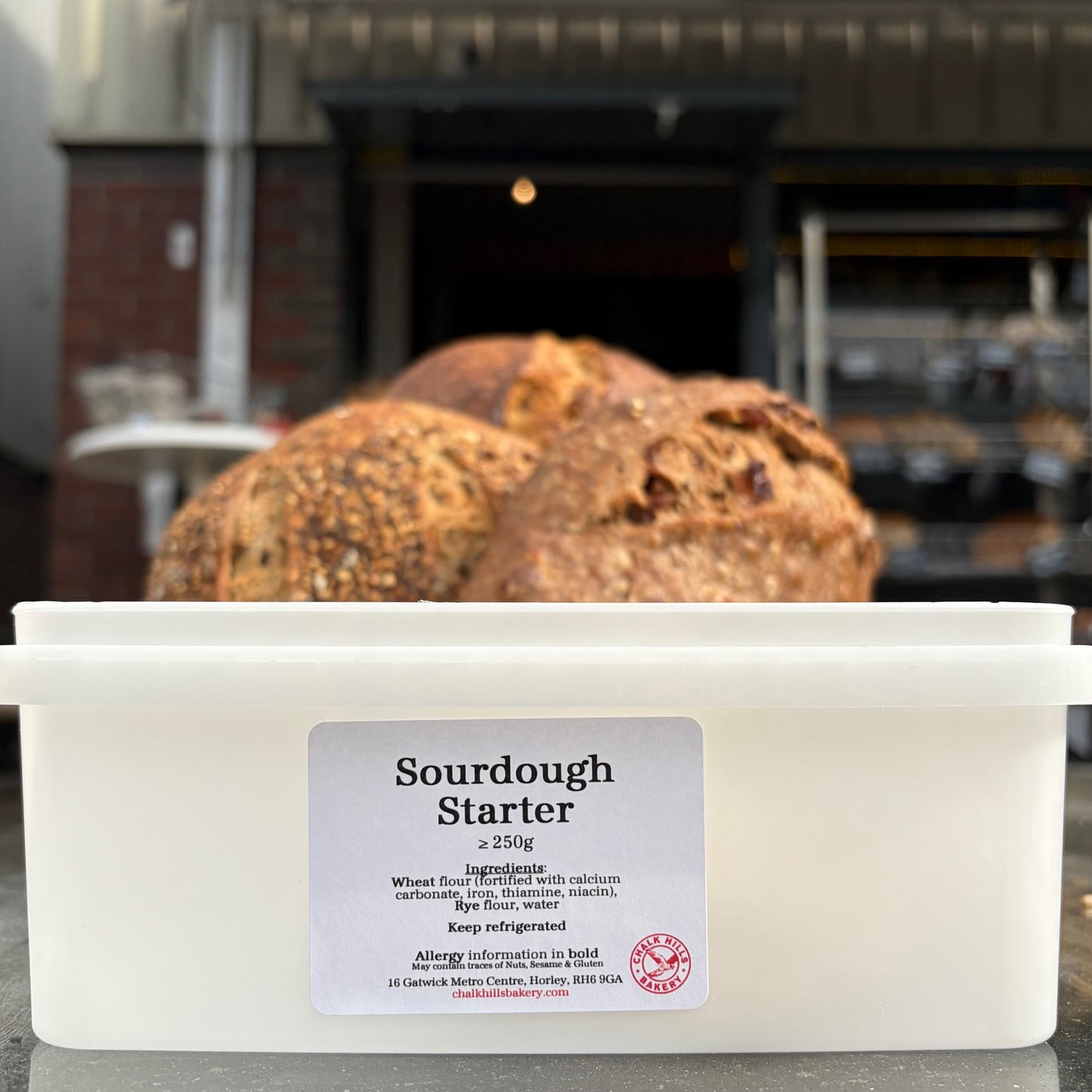 Sourdough Starter
